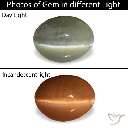 0.44ct grigio cat's eye alexandrite, ovale, opaco