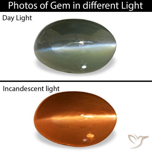 0.50ct grigio cat's eye alexandrite, ovale, opaco