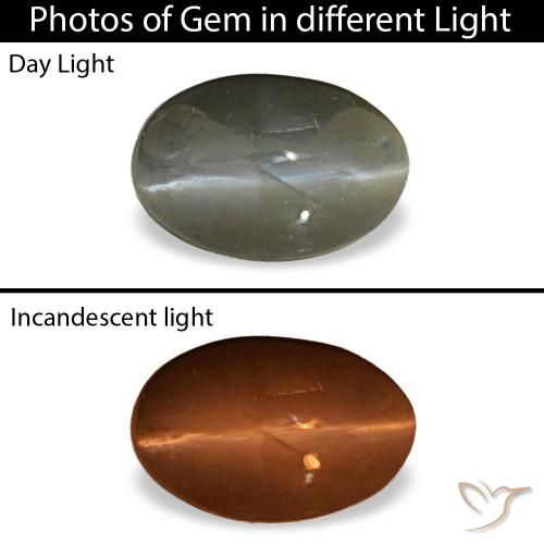 0.47ct grigio cat's eye alexandrite, ovale, opaco