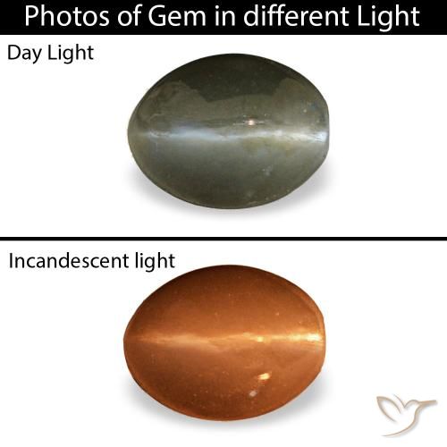 Cat's eye alexandrite naturale grigio da 0,45 ct, taglio ovale, opaco