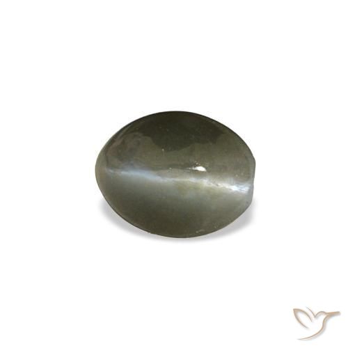 Cat's eye alexandrite naturale grigio da 0,45 ct, taglio ovale, opaco