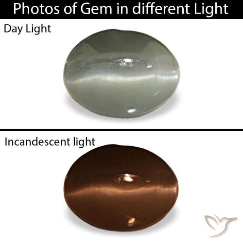 1.03ct grigio cat's eye alexandrite, ovale, opaco