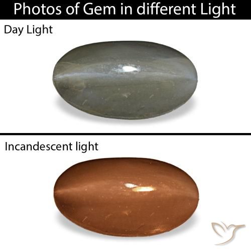 1.01ct grigio cat's eye alexandrite, ovale, opaco
