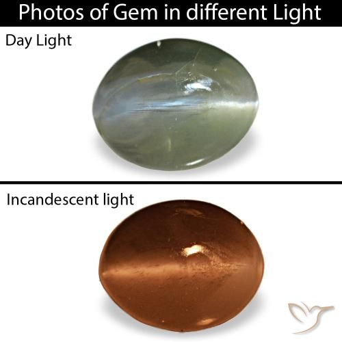 0.64ct grigio cat's eye alexandrite, ovale, opaco