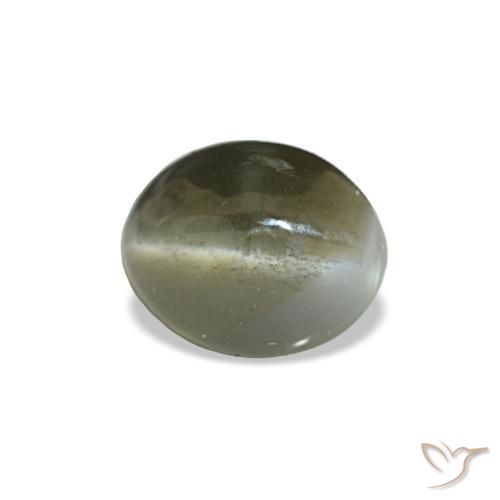 Cat's eye alexandrite naturale grigio da 0,64 ct, taglio ovale, opaco
