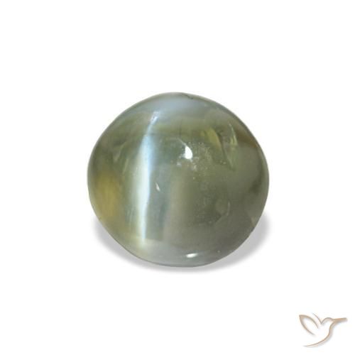 Cat's eye alexandrite naturale verde da 0,60 ct, taglio ovale, opaco