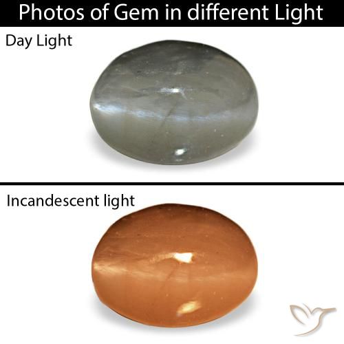 Cat's eye alexandrite naturale grigio da 0,72 ct, taglio ovale, opaco