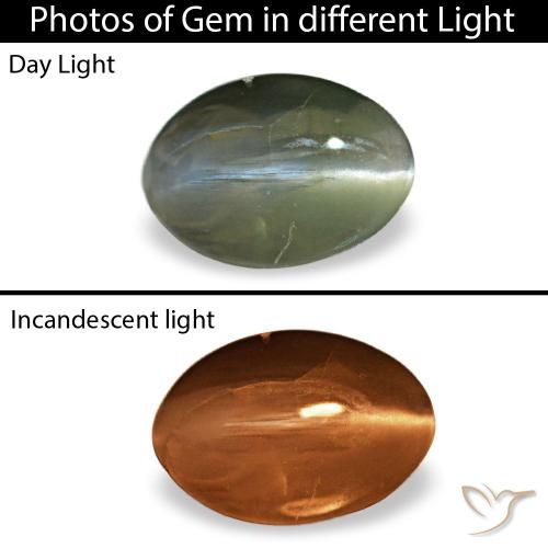 0.38ct verde cat's eye alexandrite, ovale, opaco