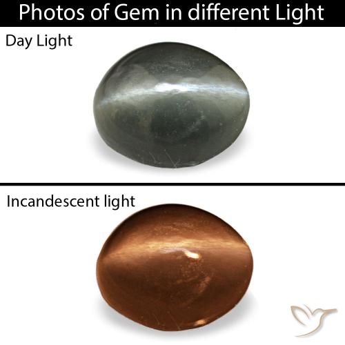 0.34ct grigio cat's eye alexandrite, ovale, opaco