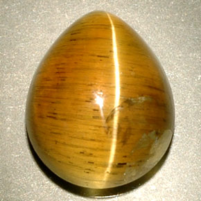 Cat's eye apatite naturale giallo da 4,94 ct, trasparente, trasparente/traslucido