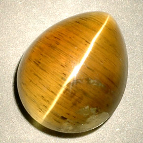 Cat's eye apatite naturale giallo da 4,94 ct, trasparente, trasparente/traslucido