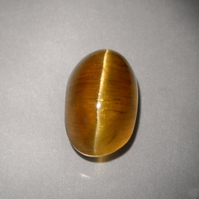 Cat's eye apatite naturale giallo da 4,93 ct, trasparente, trasparente/traslucido