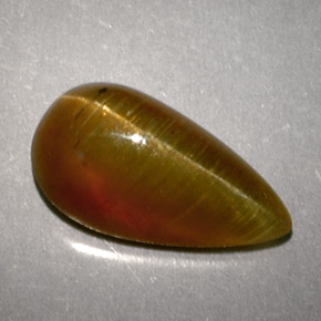 Apatite occhio di gatto Miele naturale da 2.89 ct, Forma a pera, Traslucido