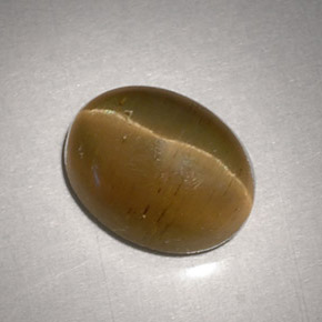 Cat's eye apatite naturale giallo da 3,11 ct, taglio ovale, traslucido