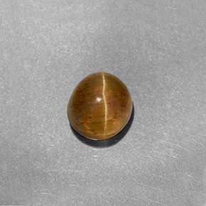 Cat's eye apatite naturale giallo da 1,61 ct, taglio ovale, traslucido