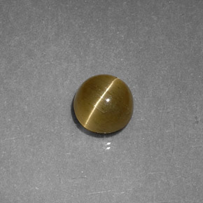 Apatite occhio di gatto Oro verdastro naturale da 1.12 ct, Trasparente, Trasparente/Traslucido