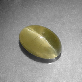 Cat's eye apatite naturale verde da 1,31 ct, taglio ovale, traslucido