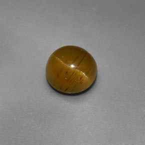 Cat's eye apatite naturale verde da 1,47 ct, taglio rotondo, traslucido
