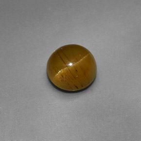 Cat's eye apatite naturale verde da 1,47 ct, taglio rotondo, traslucido