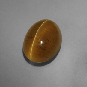 Cat's eye apatite naturale giallo da 9,54 ct, trasparente, trasparente/traslucido