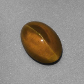 Cat's eye apatite naturale giallo da 2,02 ct, trasparente, trasparente/traslucido