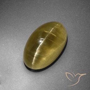 12.95ct Naturale Giallo terroso Apatite effetto occhio di gatto, Ovale, Traslucido