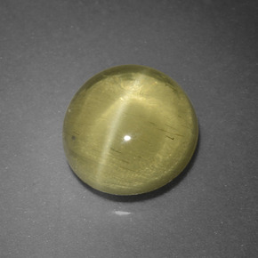 Apatite occhio di gatto Verde dorato naturale da 1.66 ct, Taglio rotondo, Traslucido