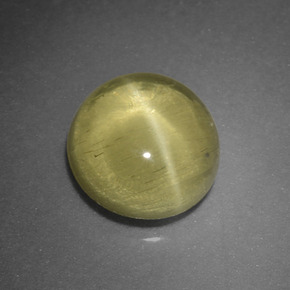 Apatite occhio di gatto Verde dorato naturale da 1.66 ct, Taglio rotondo, Traslucido