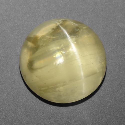 Apatite occhio di gatto Verde dorato naturale da 18.11 ct, Taglio rotondo, Traslucido
