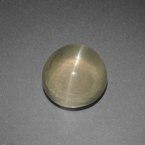 Apatite occhio di gatto Giallo verde naturale da 5.65 ct, Taglio rotondo, Traslucido