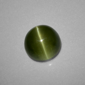 Apatite occhio di gatto Giallo verde naturale da 2.71 ct, Taglio rotondo, Traslucido