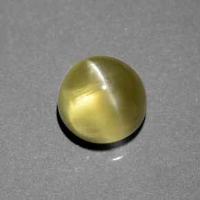 Apatite occhio di gatto dorato verdastro naturale da 6,34 ct, taglio rotondo, traslucido