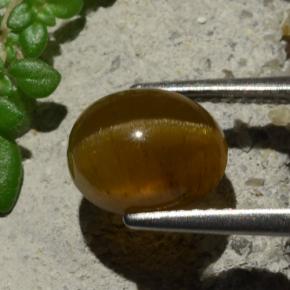 Apatite occhio di gatto Arancione naturale da 3.16 ct, Taglio ovale, Traslucido