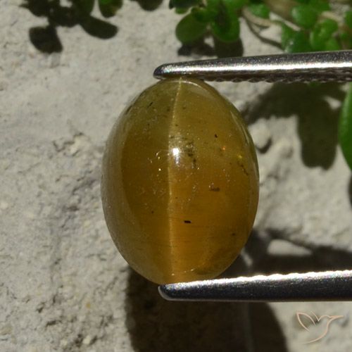 3.64ct Naturale Marrone chiaro Apatite effetto occhio di gatto, Ovale, Traslucido