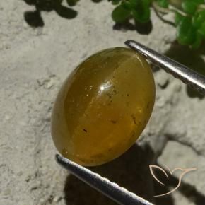 Apatite occhio di gatto Marrone chiaro naturale da 3.64 ct, Ovale, Traslucido