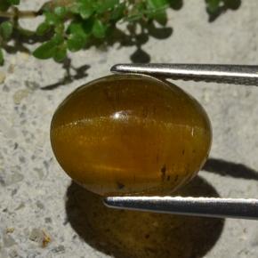 Apatite occhio di gatto Marrone medio naturale da 5.80 ct, Taglio ovale, Traslucido