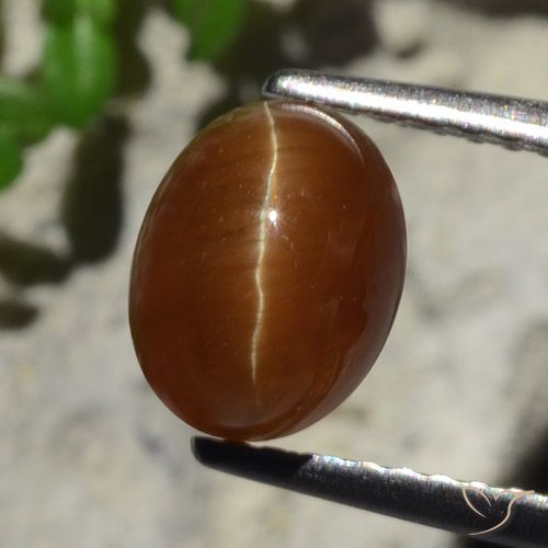 Cat's eye apatite naturale marrone da 2,05 ct, taglio ovale, traslucido