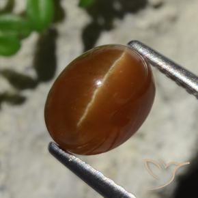 Cat's eye apatite naturale marrone da 2,05 ct, taglio ovale, traslucido