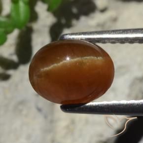 Cat's eye apatite naturale marrone da 2,05 ct, taglio ovale, traslucido
