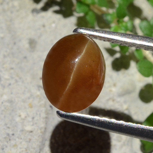 Cat's eye apatite naturale marrone da 1,91 ct, taglio ovale, traslucido