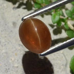 Cat's eye apatite naturale marrone da 1,91 ct, taglio ovale, traslucido
