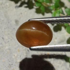 Cat's eye apatite naturale marrone da 1,91 ct, taglio ovale, traslucido