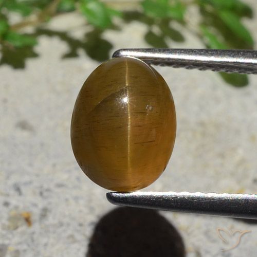 2.89ct Naturale Caramello Marrone Apatite effetto occhio di gatto, Ovale, Traslucido