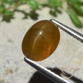 Apatite occhio di gatto Caramello Marrone naturale da 2.89 ct, Ovale, Traslucido