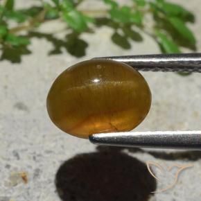 Apatite occhio di gatto Caramello Marrone naturale da 2.89 ct, Ovale, Traslucido