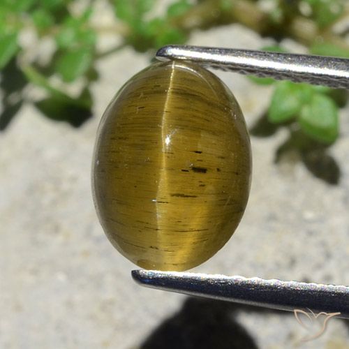 3.38ct Naturale Giallo terroso Apatite effetto occhio di gatto, Ovale, Traslucido