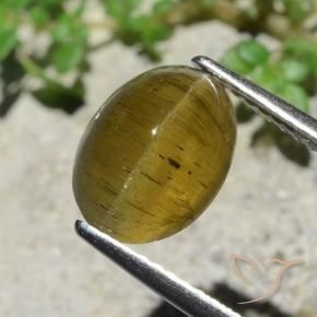 Apatite occhio di gatto Giallo terroso naturale da 3.38 ct, Taglio ovale, Traslucido