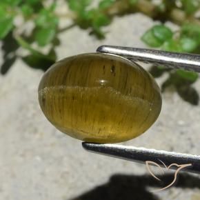 Apatite occhio di gatto Giallo terroso naturale da 3.38 ct, Taglio ovale, Traslucido