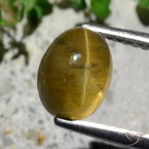 Apatite effetto occhio di gatto Giallo terroso naturale da 2.12 ct, Ovale, Traslucido