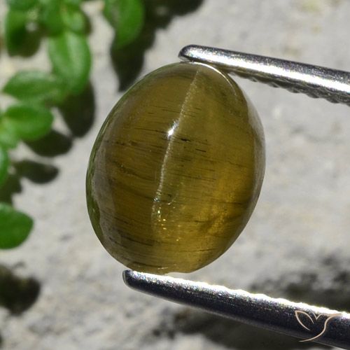 3.23ct Naturale Caffè Marrone Apatite effetto occhio di gatto, Ovale, Traslucido
